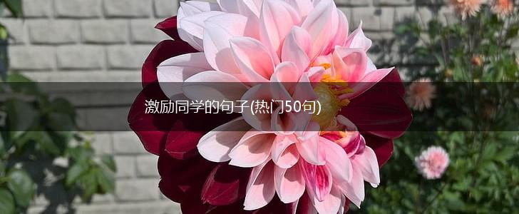 激励同学的句子(热门50句),第1张