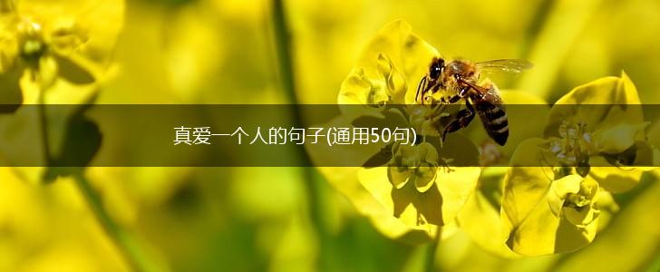 真爱一个人的句子(通用50句),第1张