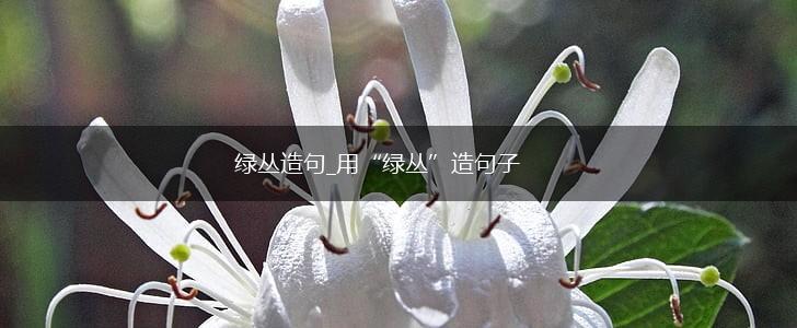 绿丛造句_用“绿丛”造句子,第1张