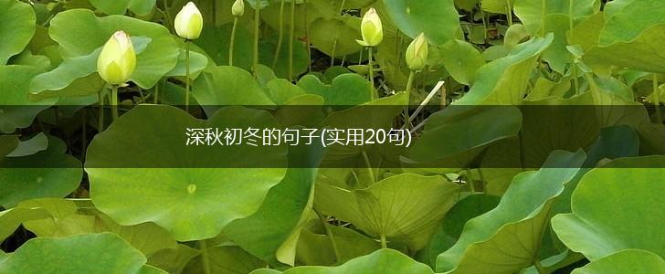 深秋初冬的句子(实用20句),第1张