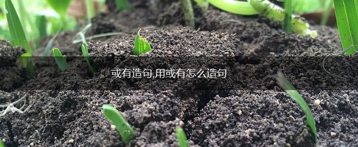 或有造句,用或有怎么造句,第1张