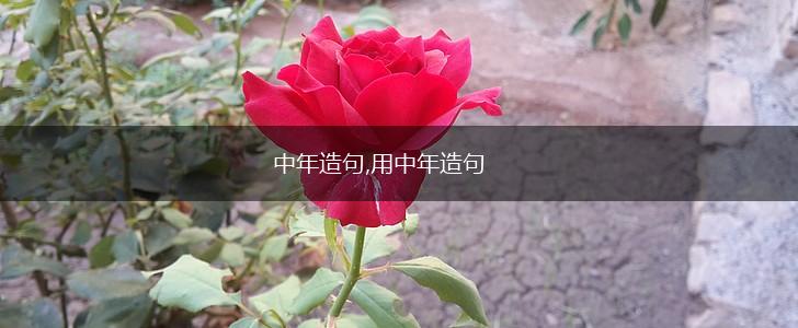 中年造句,用中年造句,第1张