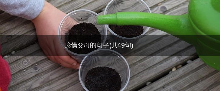 珍惜父母的句子(共49句),第1张