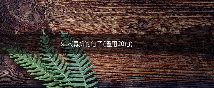 文艺清新的句子(通用20句),第1张