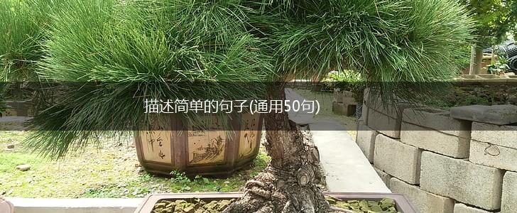 描述简单的句子(通用50句),第1张