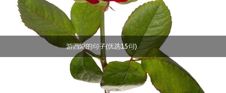 游西湖的句子(优选15句),第1张