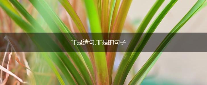 非是造句,非是的句子,第1张