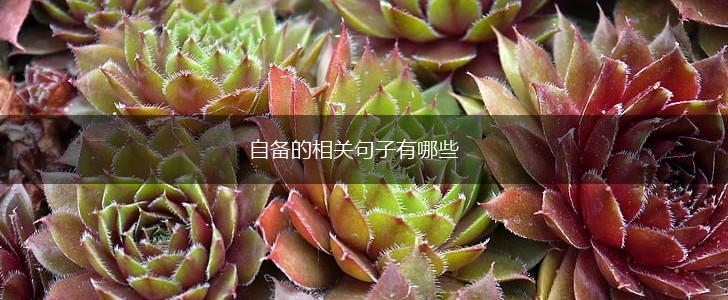自备的相关句子有哪些,第1张