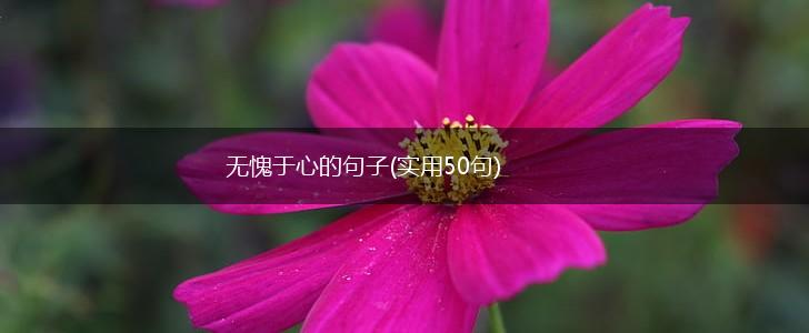 无愧于心的句子(实用50句),第1张