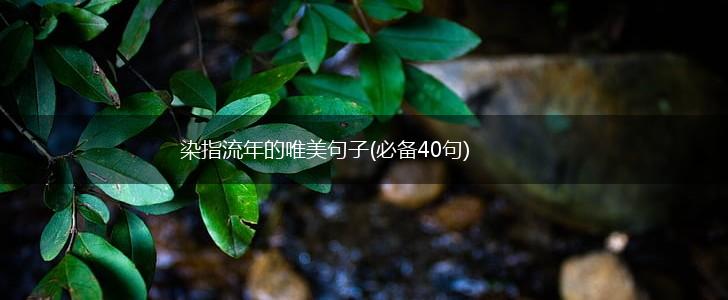 染指流年的唯美句子(必备40句),第1张