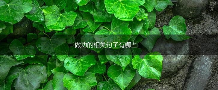 做功的相关句子有哪些,第1张