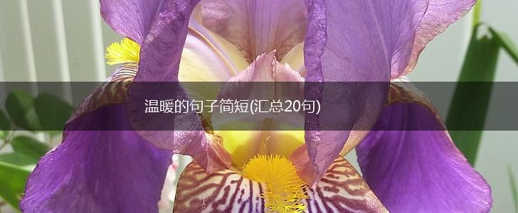 温暖的句子简短(汇总20句),第1张
