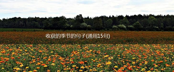 收获的季节的句子(通用15句),第1张