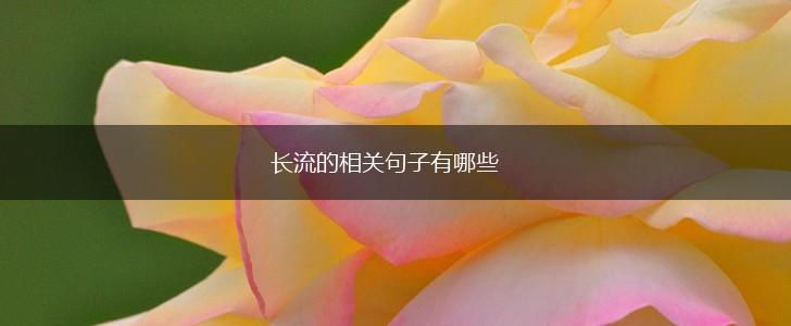长流的相关句子有哪些,第1张