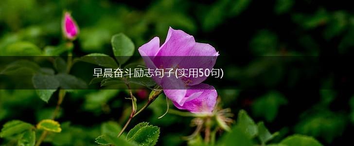 早晨奋斗励志句子(实用50句),第1张