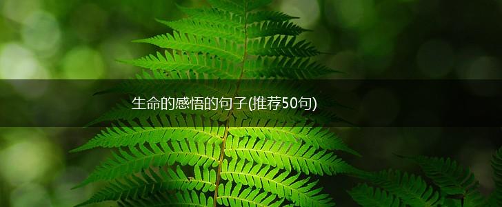 生命的感悟的句子(推荐50句),第1张