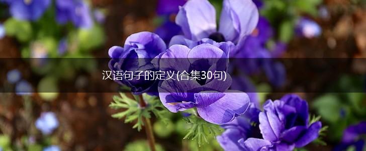 汉语句子的定义(合集30句),第1张
