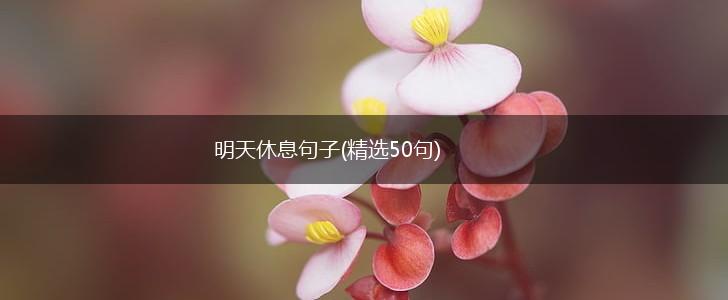 明天休息句子(精选50句),第1张