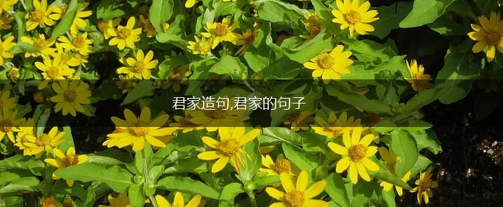 君家造句,君家的句子,第1张