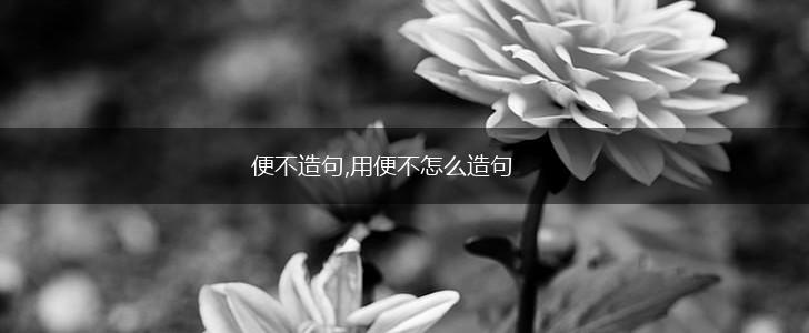便不造句,用便不怎么造句,第1张