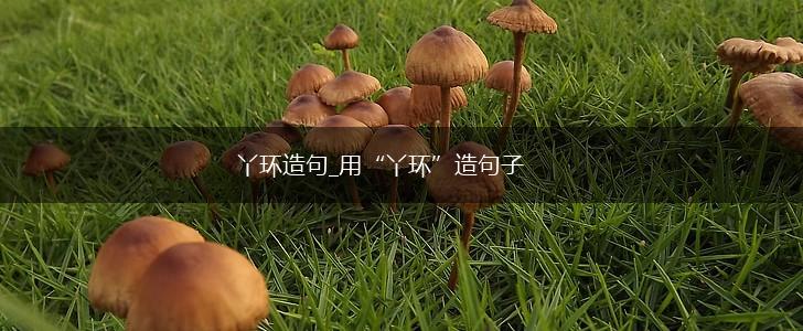 丫环造句_用“丫环”造句子,第1张