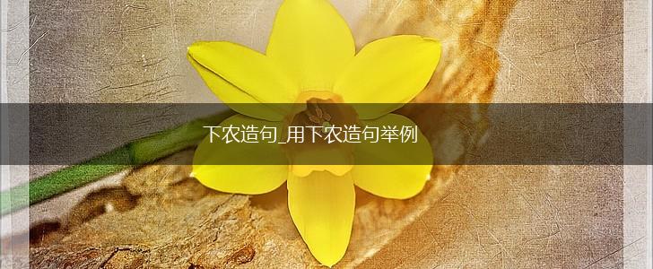 下农造句_用下农造句举例,第1张