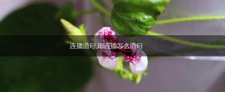 连播造句,用连播怎么造句,第1张