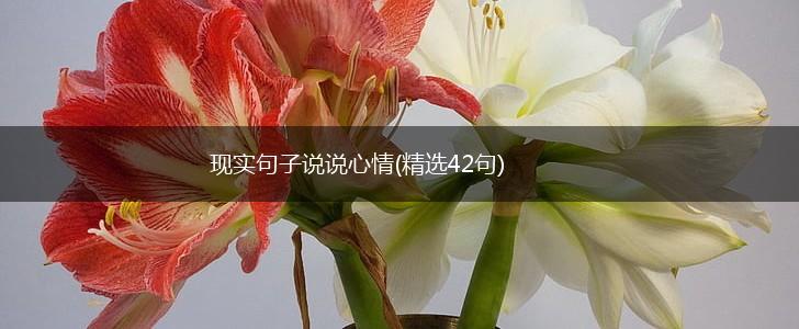 现实句子说说心情(精选42句),第1张