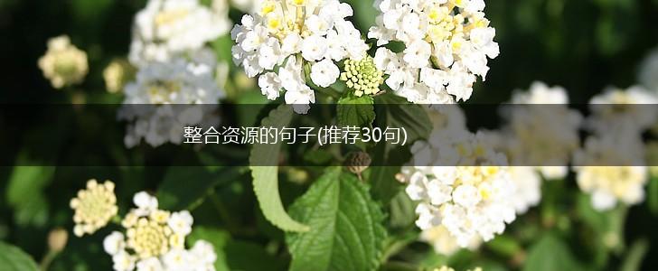 整合资源的句子(推荐30句),第1张