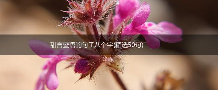 甜言蜜语的句子八个字(精选50句),第1张
