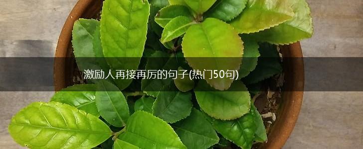 激励人再接再厉的句子(热门50句),第1张