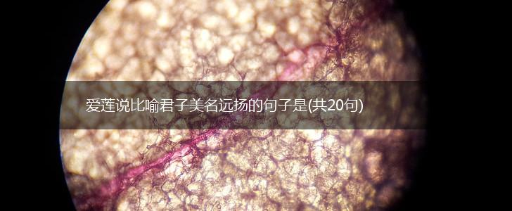 爱莲说比喻君子美名远扬的句子是(共20句),第1张