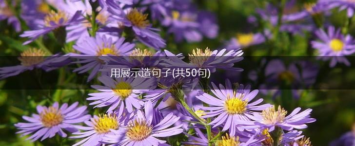用展示造句子(共50句),第1张