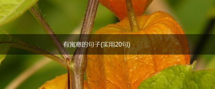 有寓意的句子(实用20句),第1张
