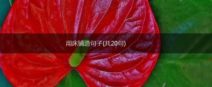用床铺造句子(共20句),第1张