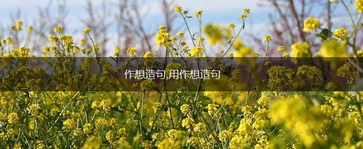 作想造句,用作想造句,第1张