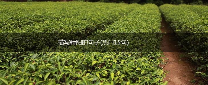 描写骄阳的句子(热门15句),第1张