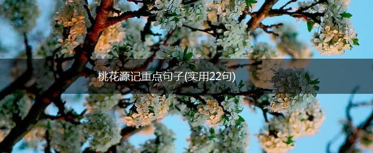 桃花源记重点句子(实用22句),第1张