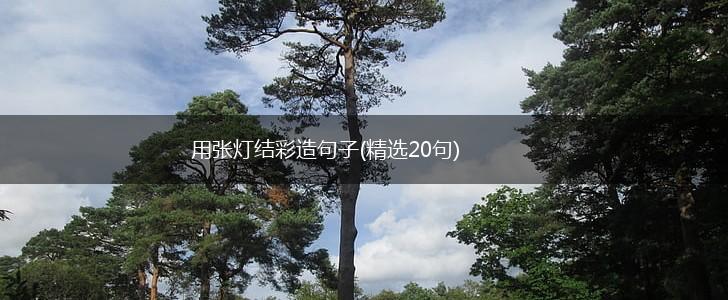 用张灯结彩造句子(精选20句),第1张