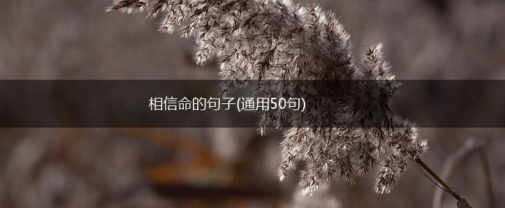 相信命的句子(通用50句),第1张