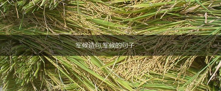 军候造句,军候的句子,第1张