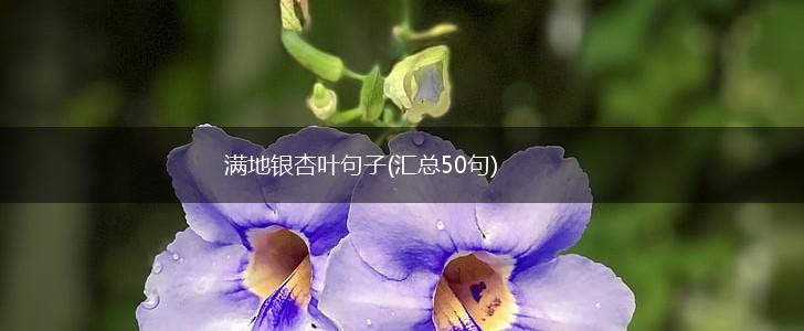 满地银杏叶句子(汇总50句),第1张