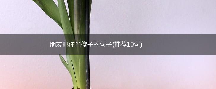 朋友把你当傻子的句子(推荐10句),第1张