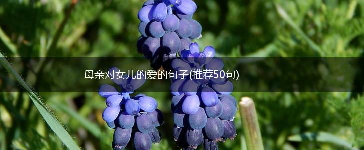 母亲对女儿的爱的句子(推荐50句),第1张