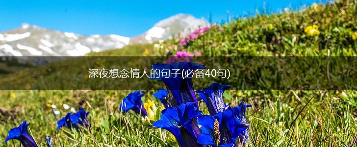 深夜想念情人的句子(必备40句),第1张
