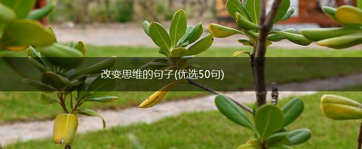 改变思维的句子(优选50句),第1张