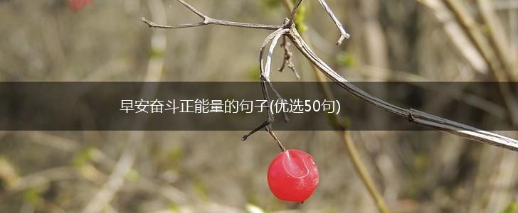 早安奋斗正能量的句子(优选50句),第1张