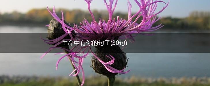 生命中有你的句子(30句),第1张