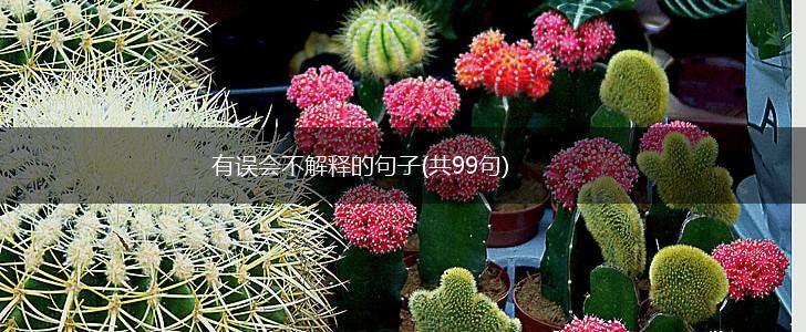 有误会不解释的句子(共99句),第1张