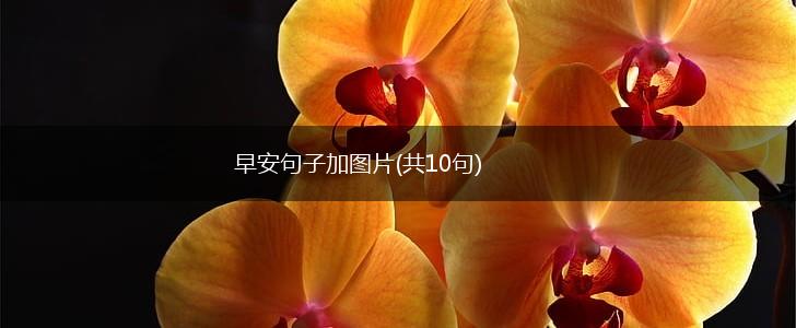 早安句子加图片(共10句),第1张